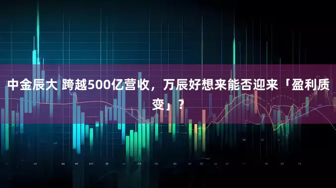 中金辰大 跨越500亿营收，万辰好想来能否迎来「盈利质变」？