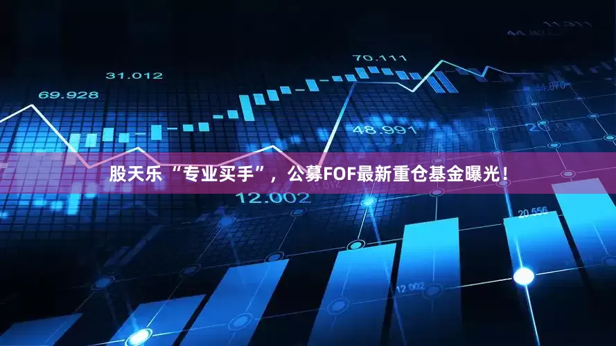 股天乐 “专业买手”，公募FOF最新重仓基金曝光！